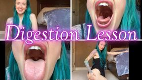 Digestion Lesson