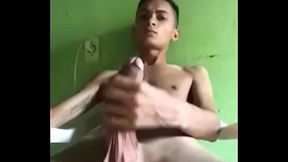 Novinho Dotado 20 cm