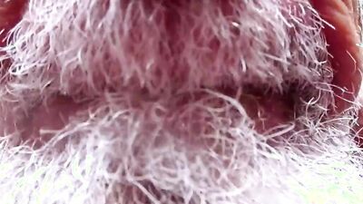 Gardener's Apprentice: The Sequel