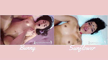 VERSUS#3 - BUNNY vs SUNFLOWER