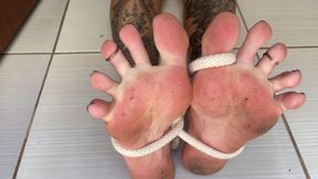 feet tied together in shibari