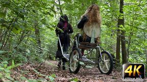 Ponyplay Cart Pulling 2 (4K)