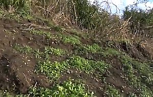 Dressage de salope !