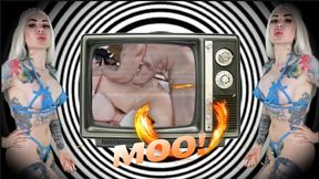 Born to Serve: The Metamorphosis of a Hucow - ASMR, MINDFUCK
