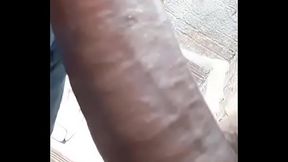 Mamando o moreno tesudo