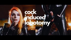Cock Induced Lobotomy