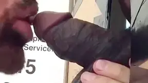Huskys Fat Dick & Big Balls Sucked At Philly