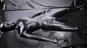 Shined & Sealed