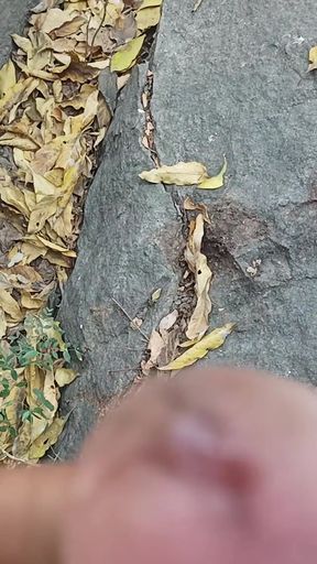 Tamil boy masterbathing forest in waiting for women flashing sex   Clip 1