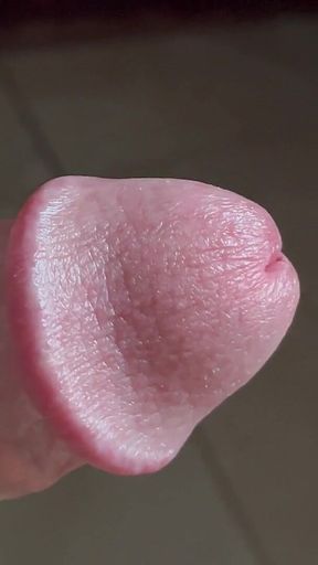 Closeup of Penis with One Vein