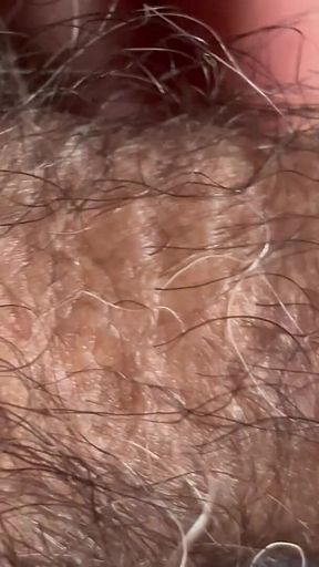 Closeup of Penis with One Vein