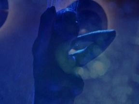 Playboy's Video Centerfold:  Heather Kozar