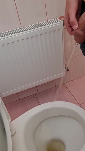 Guy Pisses in a Public Toilet and Takes a Selfie