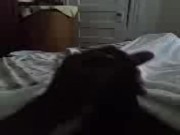 Horny