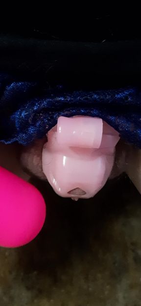 Sissy Laci squirts in her new cage