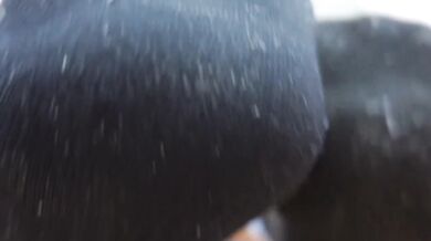 Her stinky gym socks crushed under my cum soaked feet slave worship