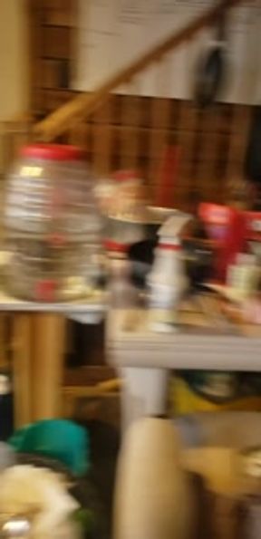 snow bunny at it again