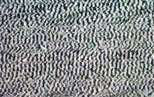 Booty bandit: free anal porn video d6