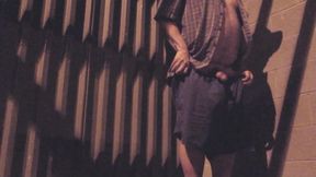 Risky Nighttime State Jackoff