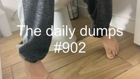 The daily dumps #902 mp4