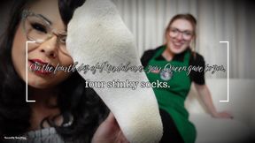 Murdah-mas Day 4 Socks CEI 4K