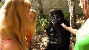 BANGBROS - Rebecca Blue, Tara Lynn Fox & Katie Summers On FuckTeam5