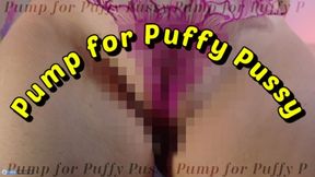 Pump for Puffy Pussy