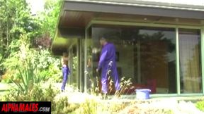 Alphamales - Bulging window-cleaners