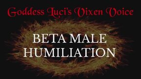 Beta Male Humiliation