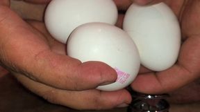 solobdsmman 30 eggs insertion