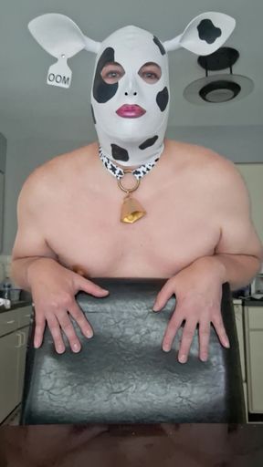 I am a fat hucow, I want men to feed me, milk me, mount and breed me and I want to Mooooooo!