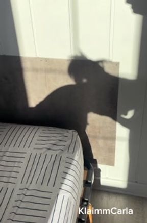 I suck his dick, try to imagine my face