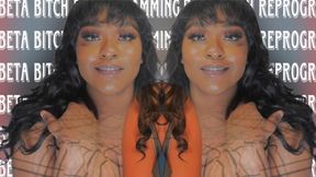 Beta Bitch Reprogramming Pt.2