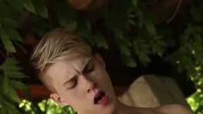 Gay