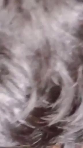 Epic moment from &quot;Gorgeous Small Tits Indian Desi Beutiful Wife Fucked by Husband&quot;