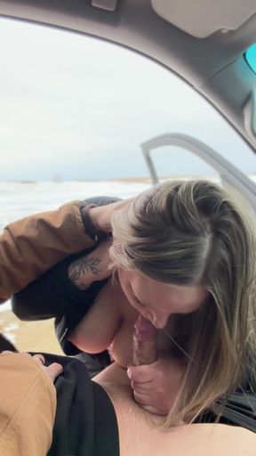 Huge Boobs MILF Caught Fucking Driver Outside