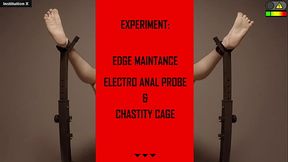 EDGE MAINTENANCE EXPERIMENT