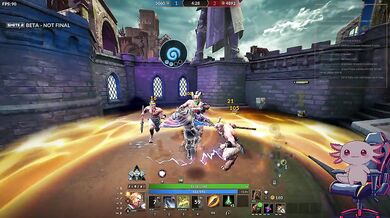 Very intense duel between amateurs