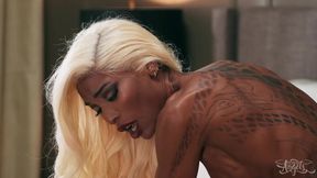 TRANS ANGELS - Natassia Dreams Returns To TransAngels For A Wild Night With Jayden Marcos And Passionate Sex