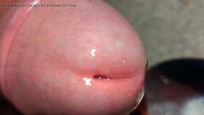 Amateur Wanker`s Big Veiny Cock: Lot of Cum & Sperm Swallowed!