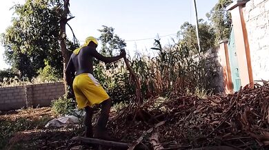 Long day in the field part 2