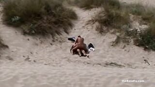 theSandfly Sexed Up On Shores