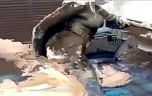 Cool blonde babe tranny sucks outdoors