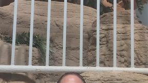 Get naked in the hot tub with me!