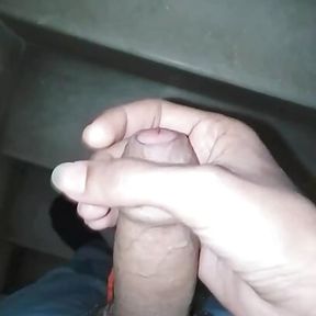 Desi Indian sexy dick musterbation penis land