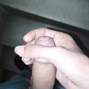 Desi Indian sexy dick musterbation penis land