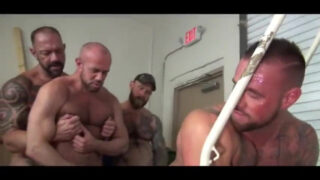 Putas gays osos folladas por el culo