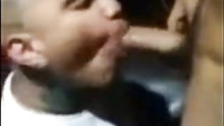 latino tattoer sucks to enter the gang of reminez