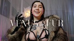Venus in Fur by Devillish Goddess Ileana