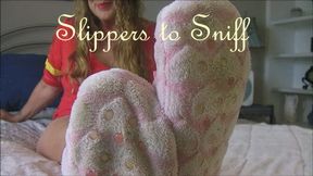 SLIPPERS TO SNIFF mp4